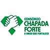 Consórcio