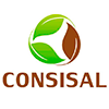 Consórcio